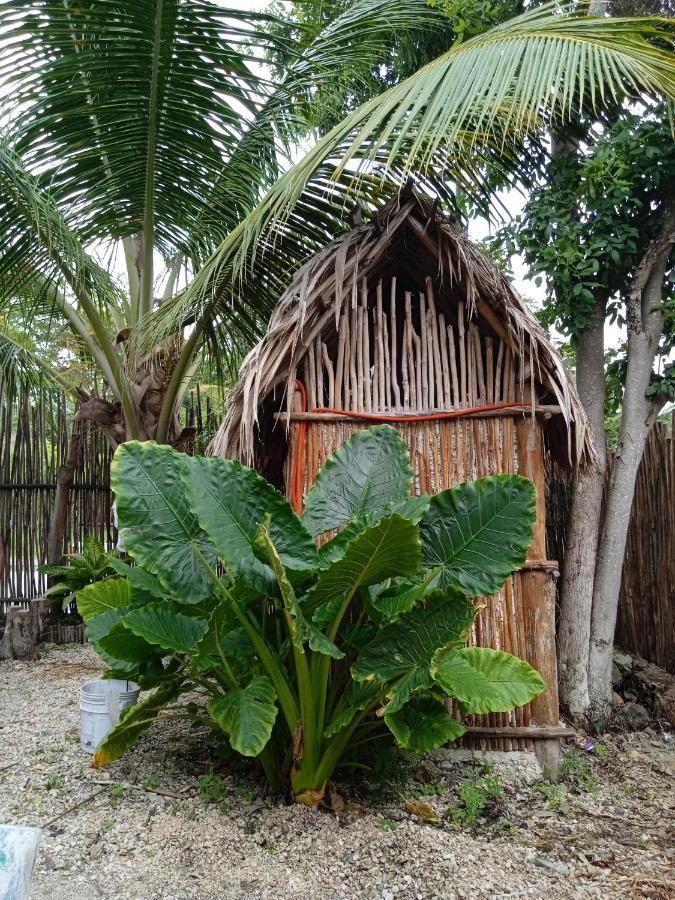 باكالار Muelle36 Hostel المظهر الخارجي الصورة